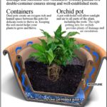 orchid plant pot