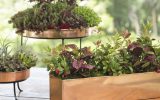 the-benefits-of-indoor-plants